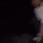 Don’t mess with Pepper the Donkey