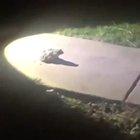 Touch my ass I’ll kill you