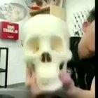 orslokx - Video #2974