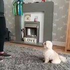 I can watch this all day