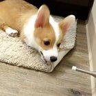 A bit too excited there