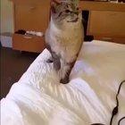 When you get that one unexpected strong SNEEZE