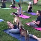 goat yoga