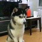 The strike of 10000+ damage.