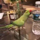 He feels very accomplished