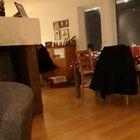 Boy reunited with his lost cat after 7 months apart