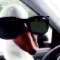 don&rsquo;t mess with him