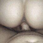 The best way to spend winter break [F19]