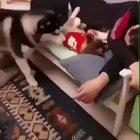 *Acts like nothing happened*