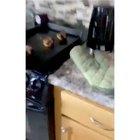 Tokyo drift cat version