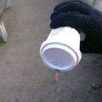 When your coffee consume takes the better of you