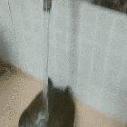 Abrupt water consumption