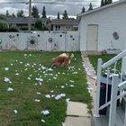 “You...you’re home early”