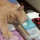 This is why the internet needs to exist