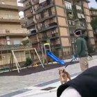 That's what happenend yesterday in Italy. That woman, before throwing herself to death, said for 3 times 