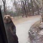 How every drunk in public looks