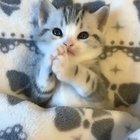 Cute on just ever level