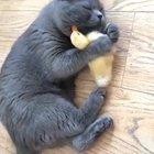 Are the nuggets ready?