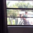 This Is Not Quarantine Etiquette