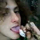 Those are some funny looking mushrooms