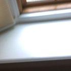 This bird is an asshole...