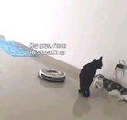 Shut up Roomba, it's personal