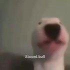 im tired as heck so here is a video for your entertainment