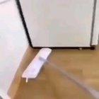 Sudden rat is sudden