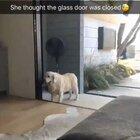 Quick your letting all the cold air in