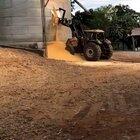 Grain bin develops a hole then collapses - 1/8/20