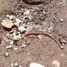 When I put my headphones in my pocket