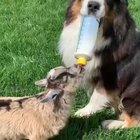 “Don’t worry, I can handle this”