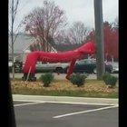 Somebody come get her, she's dancing like a stripper.