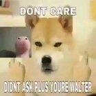 🥶🥶🥶🥶🥵🥵🥵🥵🥵😳😳😳😹😹😹