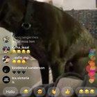 This is heartbreaking....it feels like he sees Juice 💔