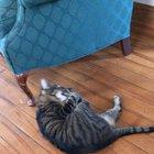 I’m not entirely sure what his goal is