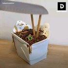 Cakes that don't look like cakes