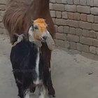 The Internet made me do it (Repost Remix)