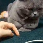 За пальчик хвать