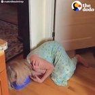 Cat Scared Of Spot On Kitchen Floor