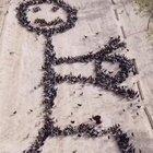 This Dude Makes Art With Birds