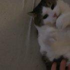 She likes rubber band balls