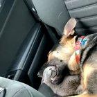 It’s a love/hate relationship