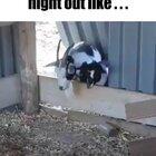 I’ve had a few of those