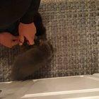 My new morning routine.