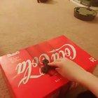 (Not my cat) his name is erza and he like to slap