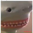 My favorite kind of humour