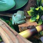 Ernest going to bed. See you tonight lil man 🥰😴