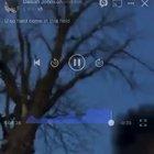 Just an ordinary day in the neighborhood