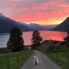 If heaven exists, has to be something like this